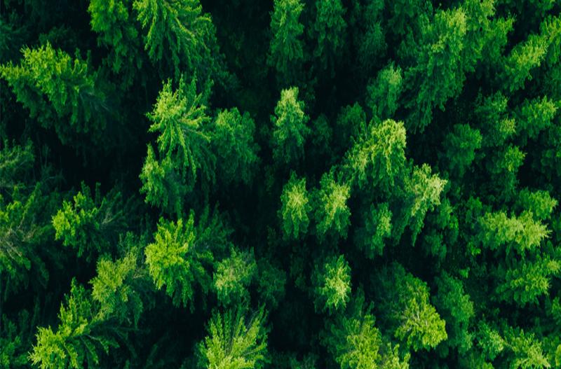 CAREL apresenta plano de redução de pegada de carbono à SBTi